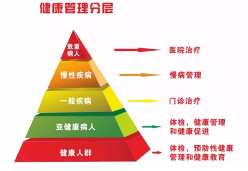 如何在短时间内高效减脂增肌？
